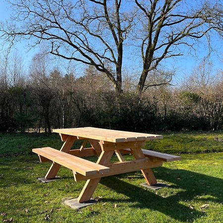 Vakantiehuis Eikzicht Gelegen Aan Het Bos Elsloo  Ngoại thất bức ảnh