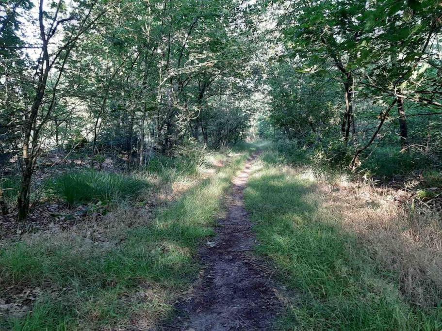 Vakantiehuis Eikzicht Gelegen Aan Het Bos Elsloo  Ngoại thất bức ảnh