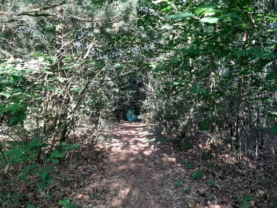 Vakantiehuis Eikzicht Gelegen Aan Het Bos Elsloo  Ngoại thất bức ảnh