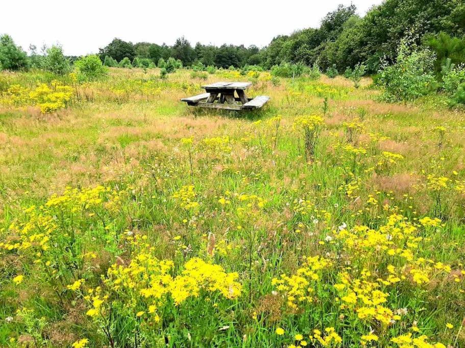 Vakantiehuis Eikzicht Gelegen Aan Het Bos Elsloo  Ngoại thất bức ảnh