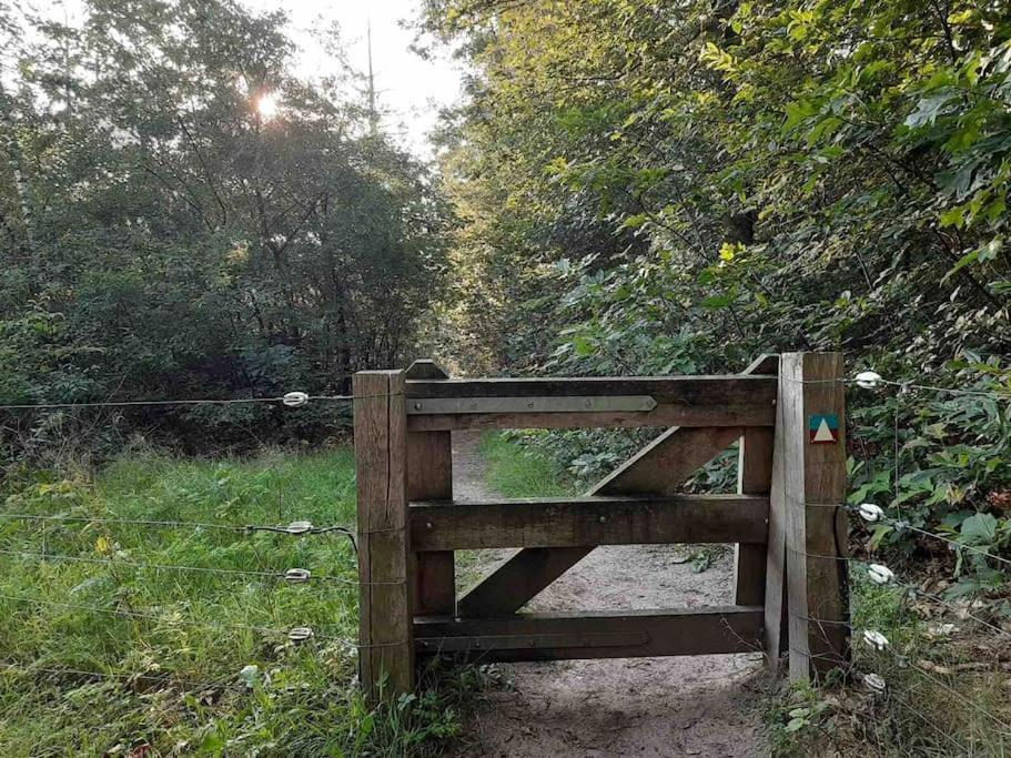 Vakantiehuis Eikzicht Gelegen Aan Het Bos Elsloo  Ngoại thất bức ảnh