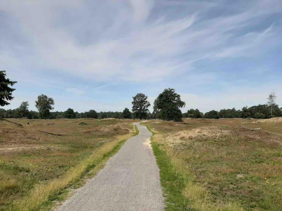 Vakantiehuis Eikzicht Gelegen Aan Het Bos Elsloo  Ngoại thất bức ảnh