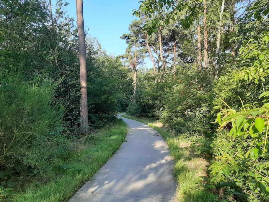 Vakantiehuis Eikzicht Gelegen Aan Het Bos Elsloo  Ngoại thất bức ảnh