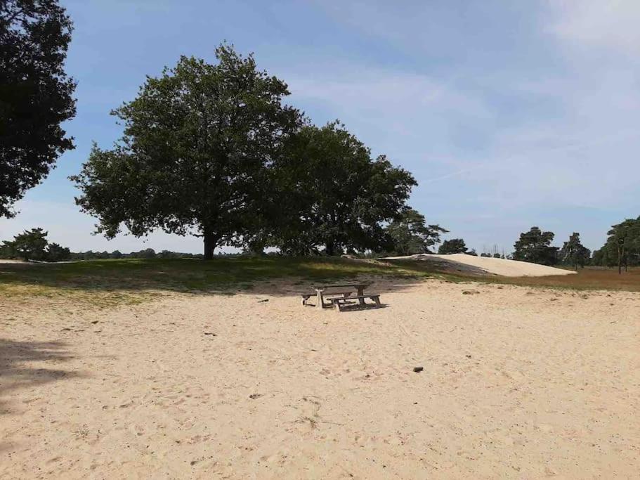 Vakantiehuis Eikzicht Gelegen Aan Het Bos Elsloo  Ngoại thất bức ảnh