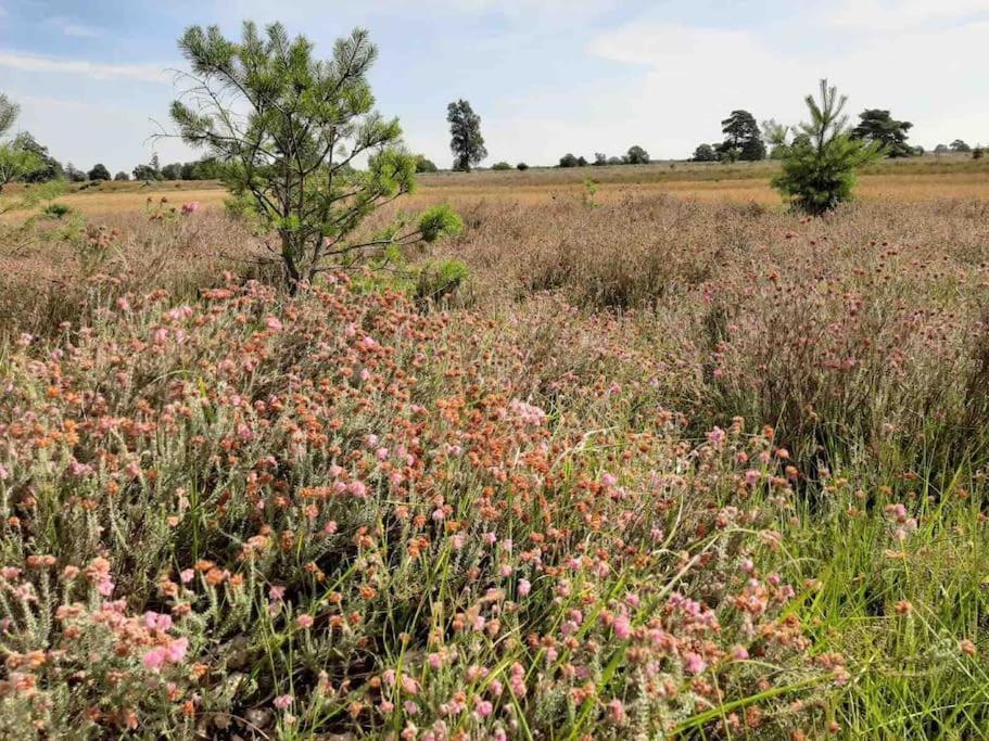 Vakantiehuis Eikzicht Gelegen Aan Het Bos Elsloo  Ngoại thất bức ảnh